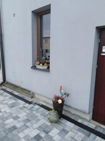 Pod Kogucikiem Aparthotel Krzyzanowice Exterior foto