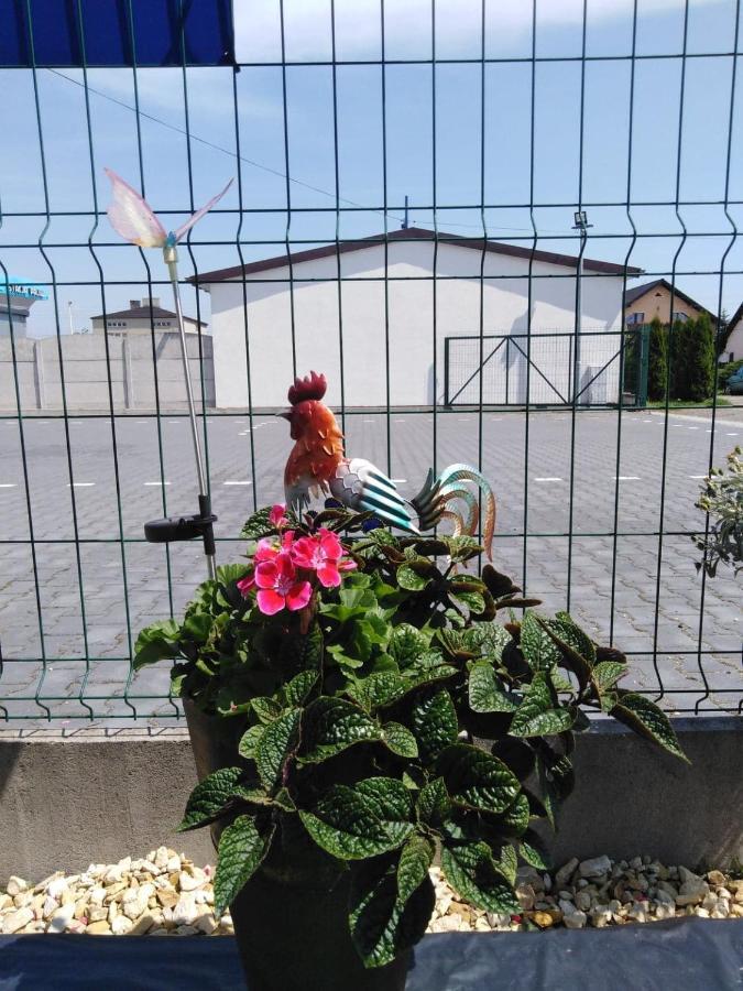 Pod Kogucikiem Aparthotel Krzyzanowice Exterior foto