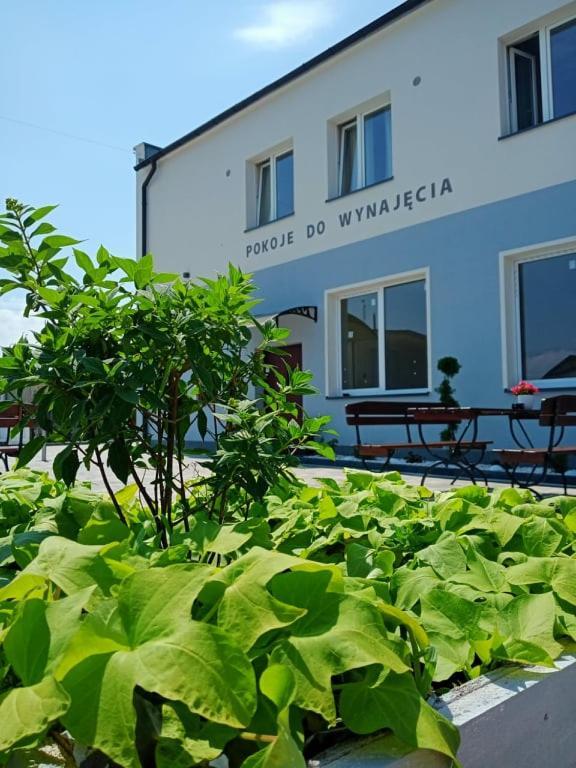 Pod Kogucikiem Aparthotel Krzyzanowice Exterior foto